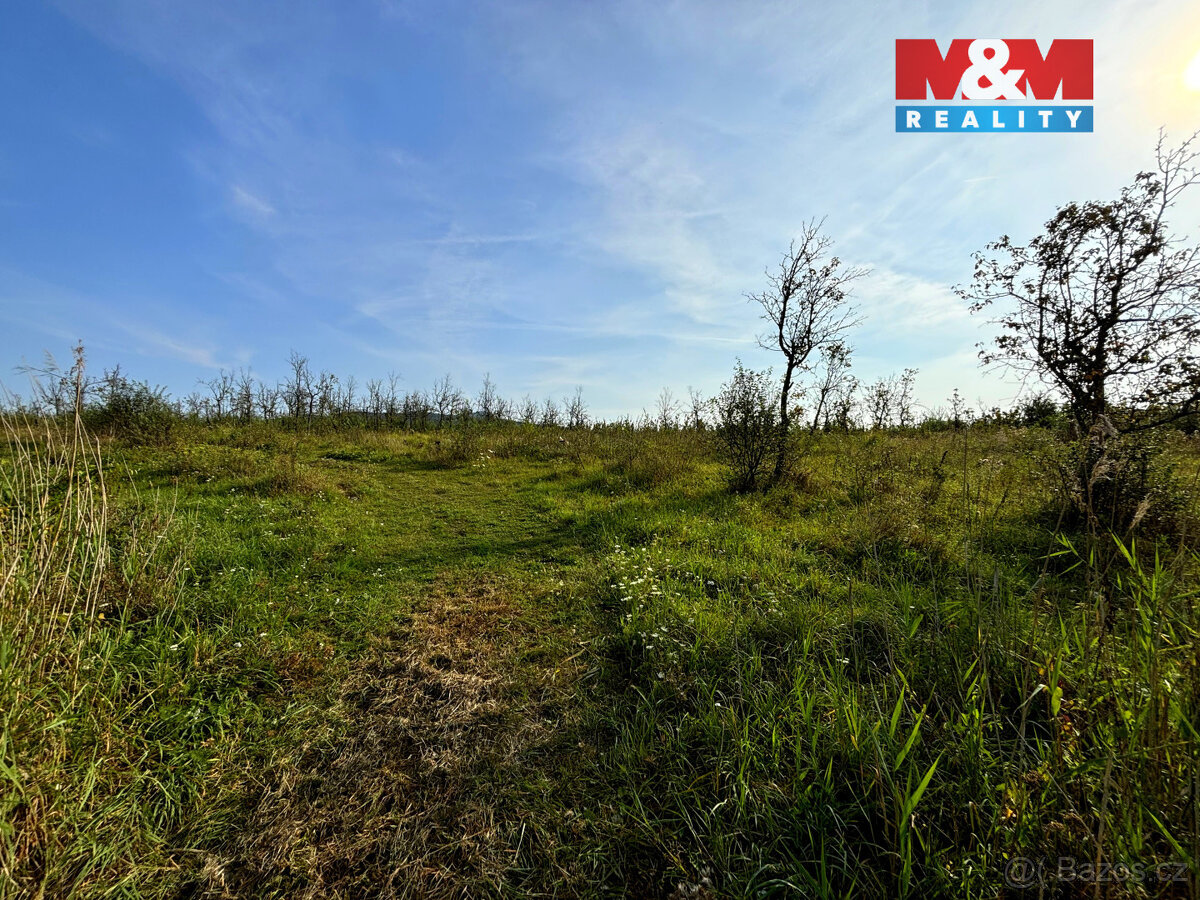 Prodej ovocného sadu, 25918 m², Dolní Nezly u Litoměřic - 9