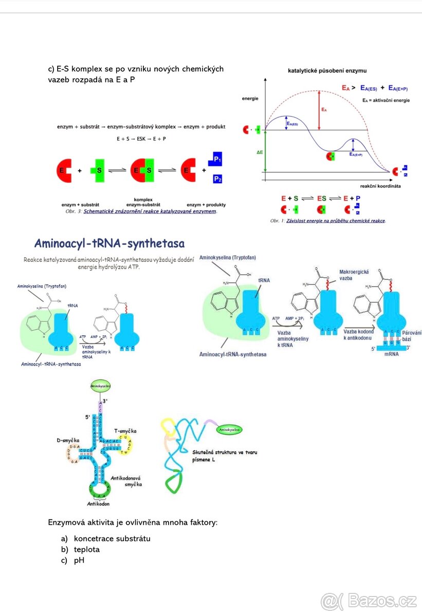 Maturitní otázky z bilogie a chemie - 9