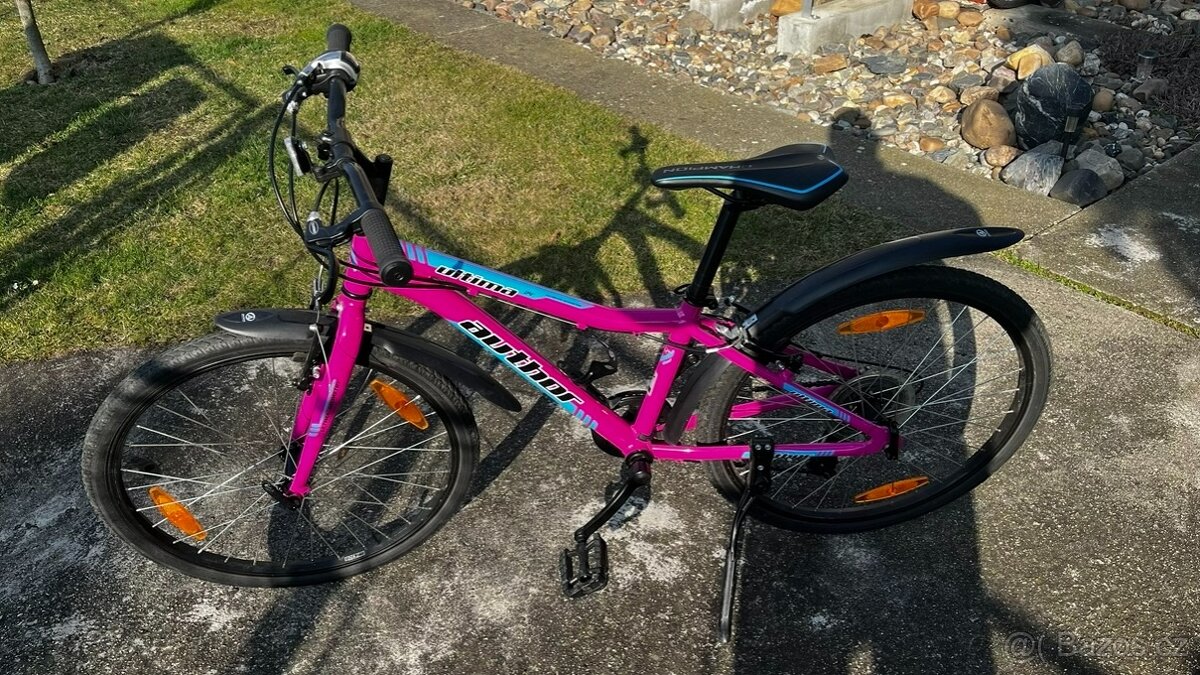 Author Ultima 24" - 9