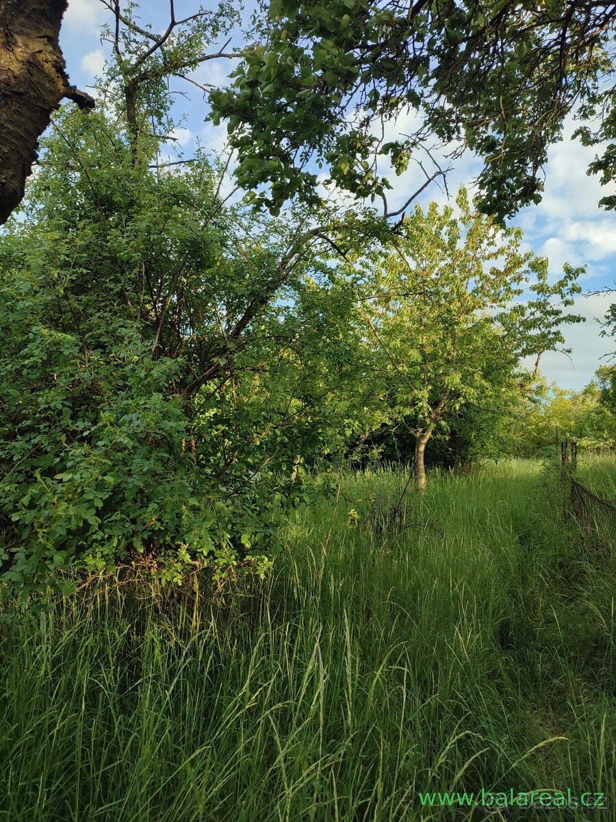 Chata 1+kk se zahradou 700m2 v Brně ve Staré Líšni. - 9