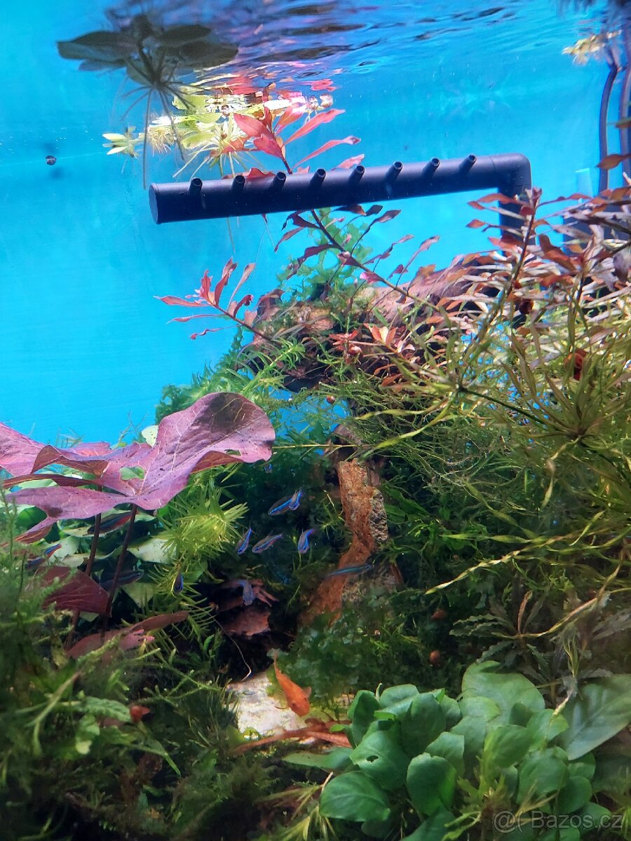 Akvárium i se stolkem - 9