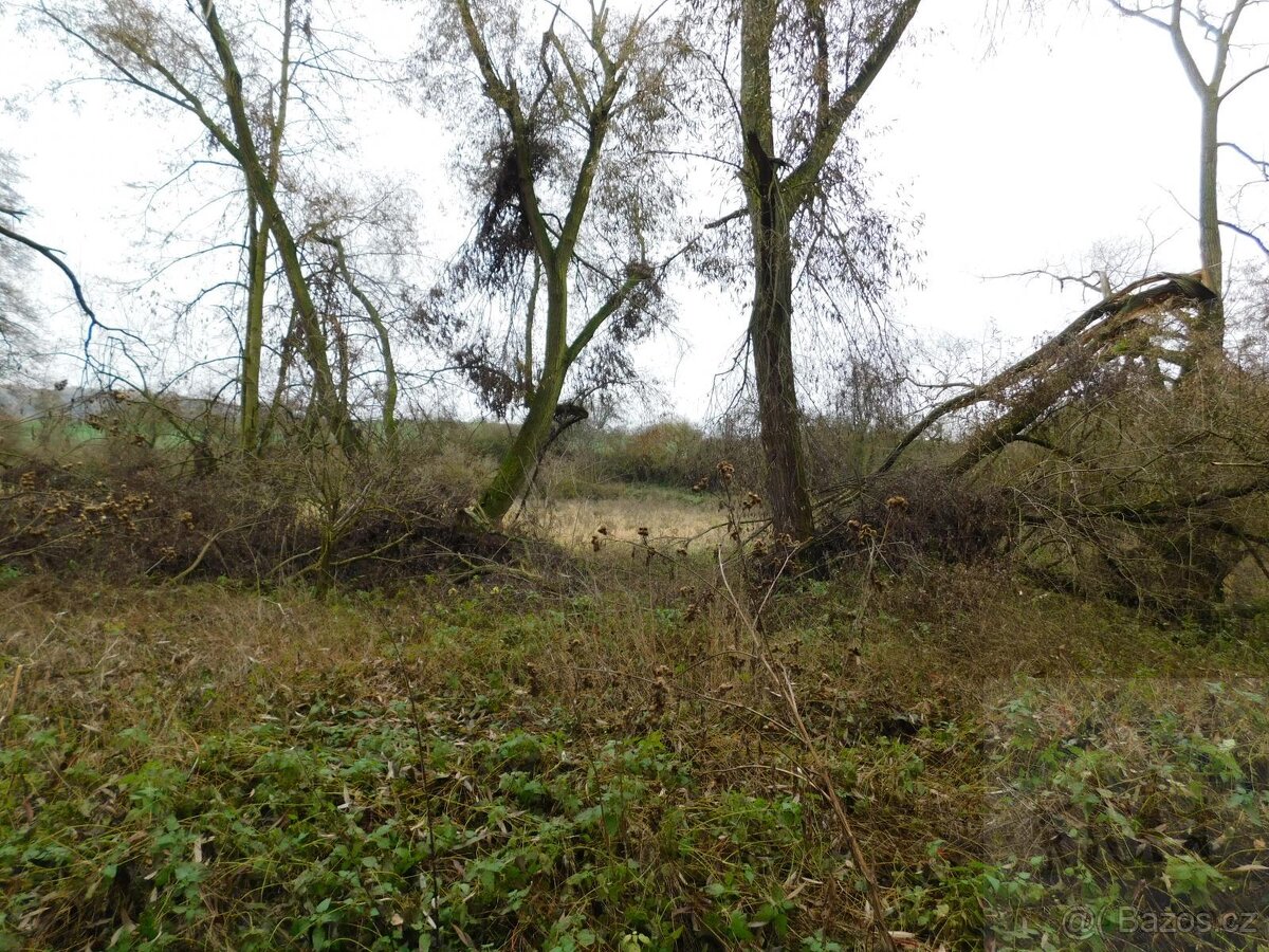 Prodej stavebního pozemku 1142 m2 v Lubenci - Příbenicích - 9