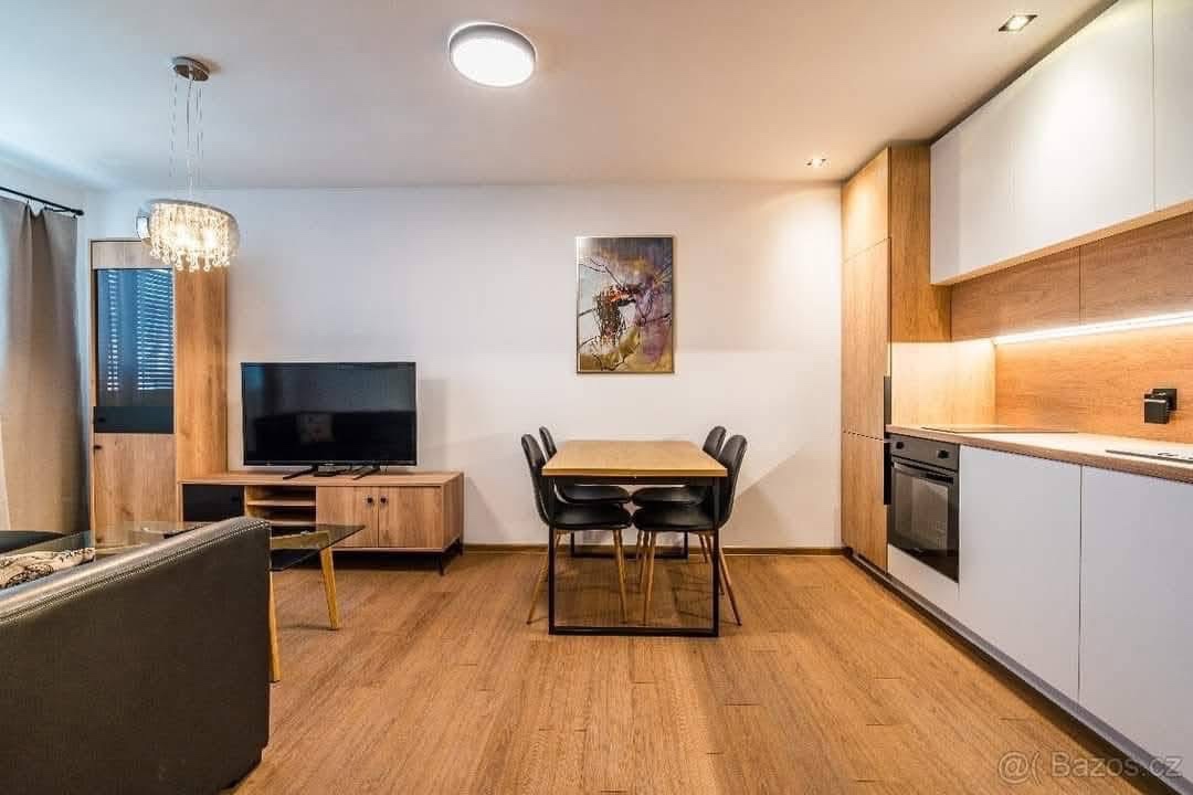 Pronájem bytu 2+1 Kyjov - 9