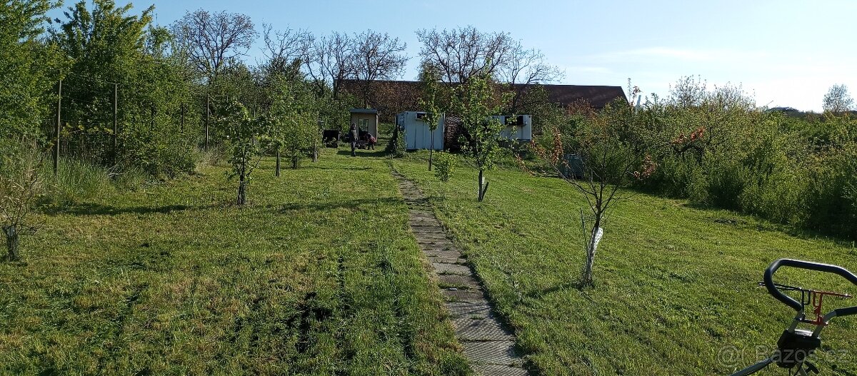 Zahrada a další investiční pozemky 3674m2 - 9