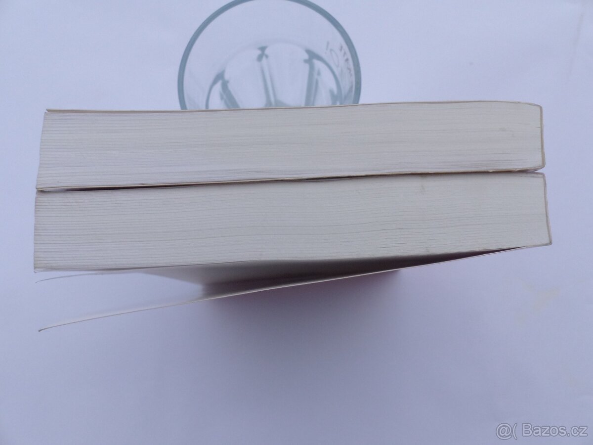 Tomáš Durdík : Encyklopedie českých hradů - viz foto - 9