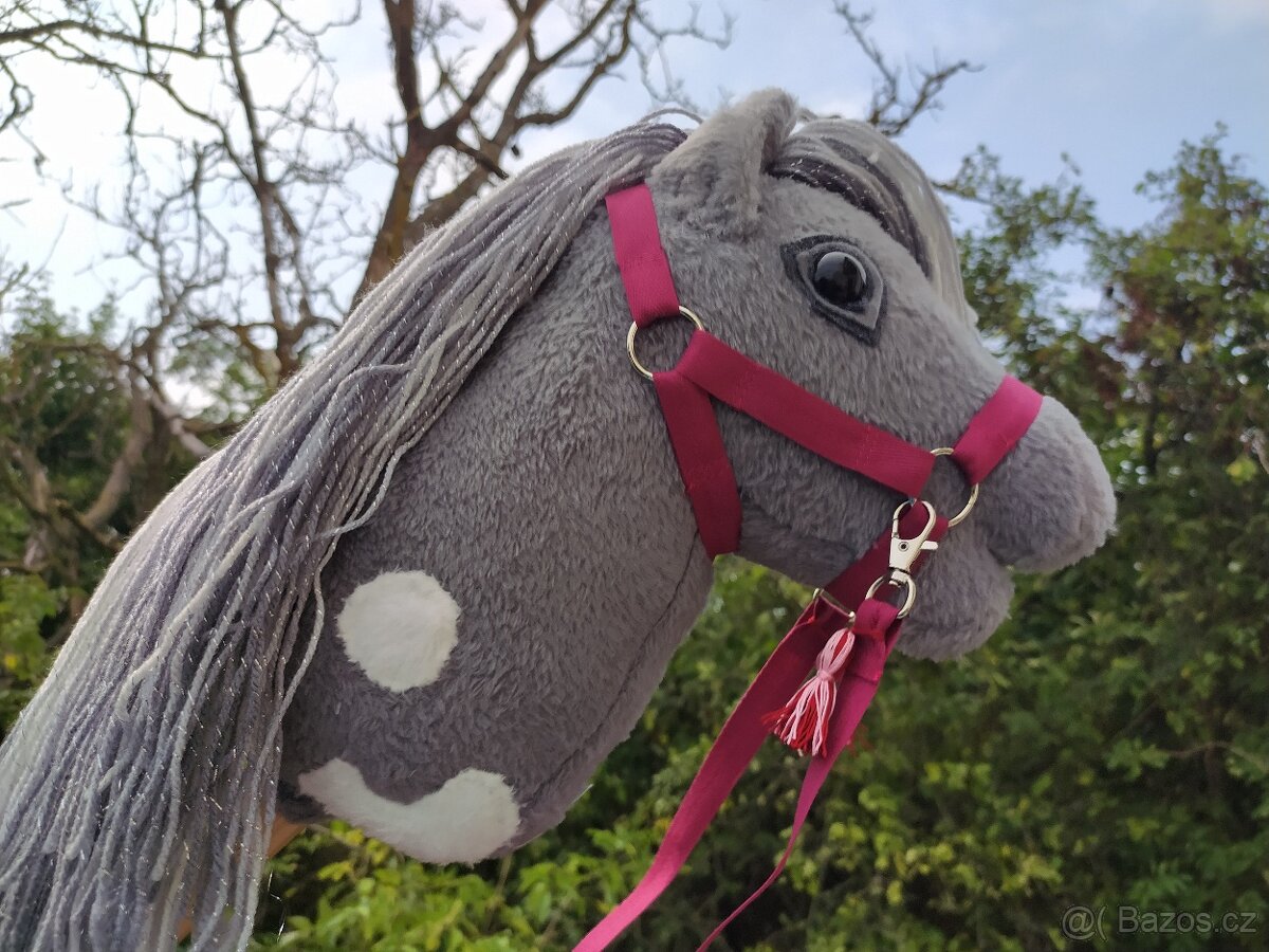 Hobby horse se stříbrnou hřívou - 9