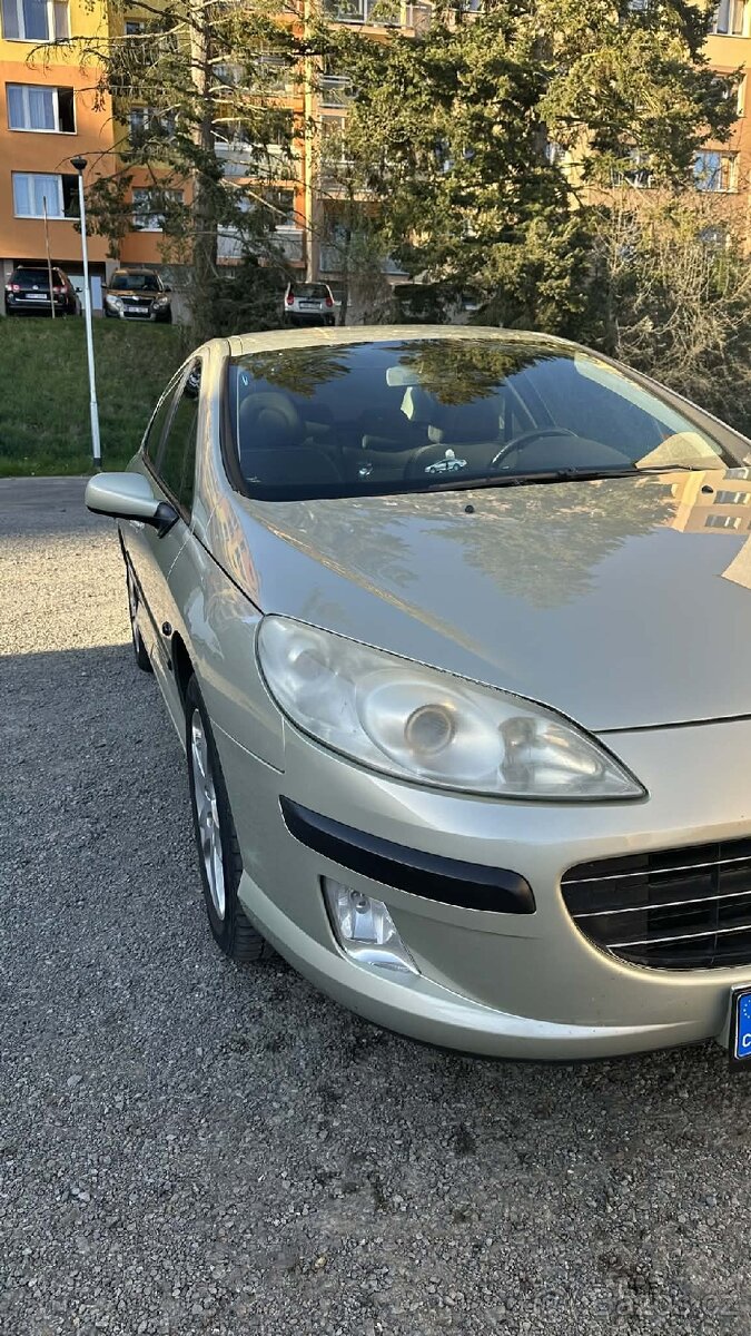 Peugeot 407 - 9