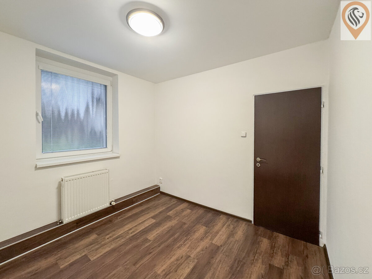 Pronájem prostorného a světlého bytu 3+1 po kompletní s gará - 9