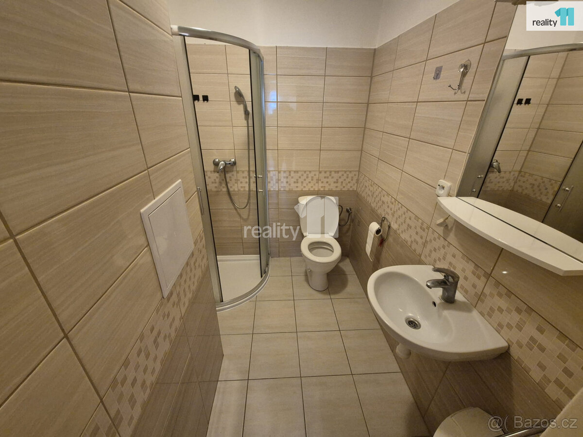 Pronájem bytu 2+1, 49 m2, Příbramská, Aš - 9