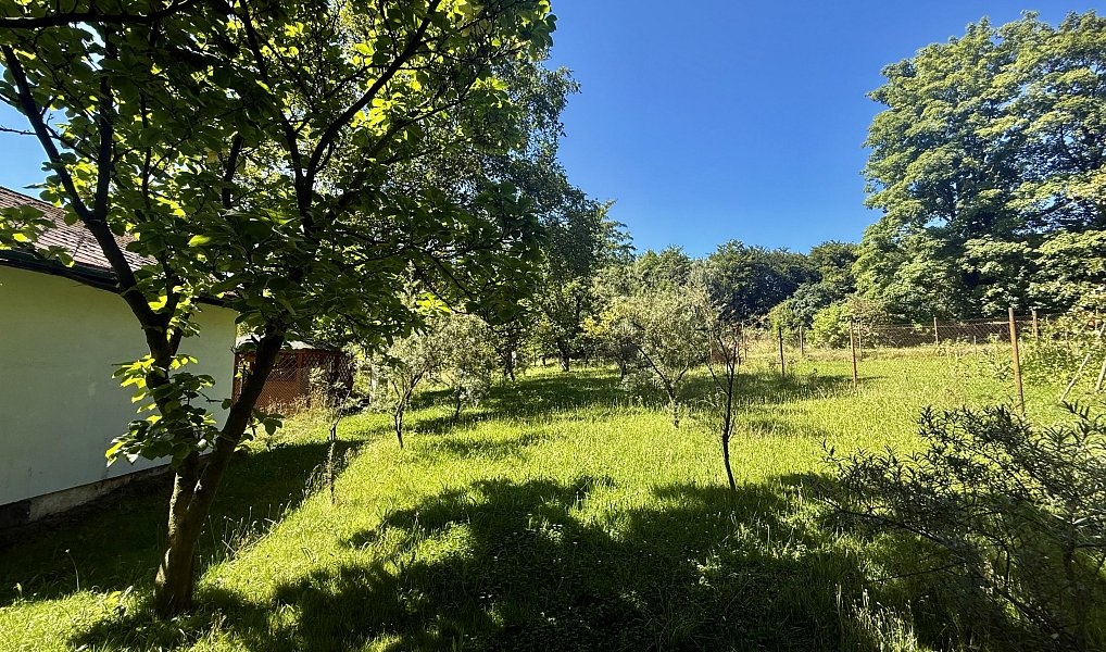 Prodej chaty se zahradou - Orlová - Město - 9