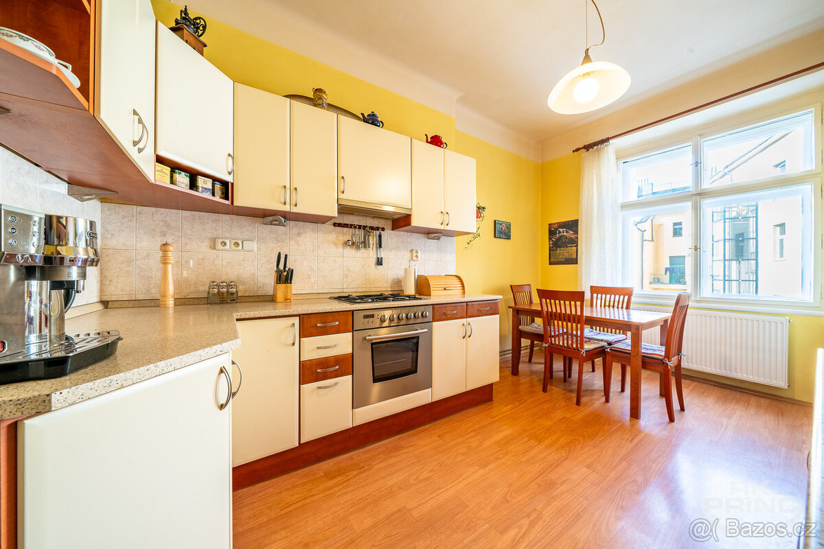 PRODEJ BYTU 2+1/3+kk, 89 m², BALKON + LODŽIE, POD SOKOLOVNO - 9