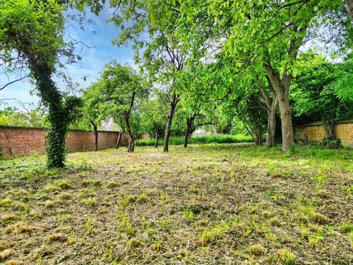 Prodej zahrady u Olomouce, 800 m2, Krčmaň - 9