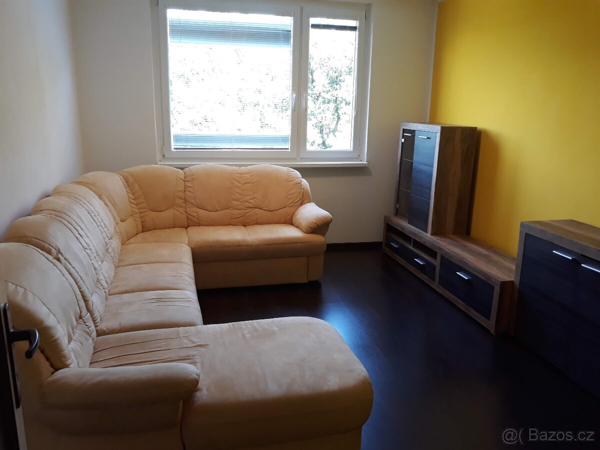 Pronájem bytu 2+1 s lodžií - 9