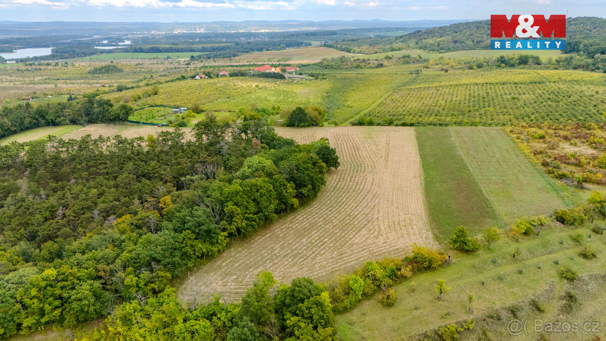 Prodej pole, 11093 m², Roudnice nad Labem - 9