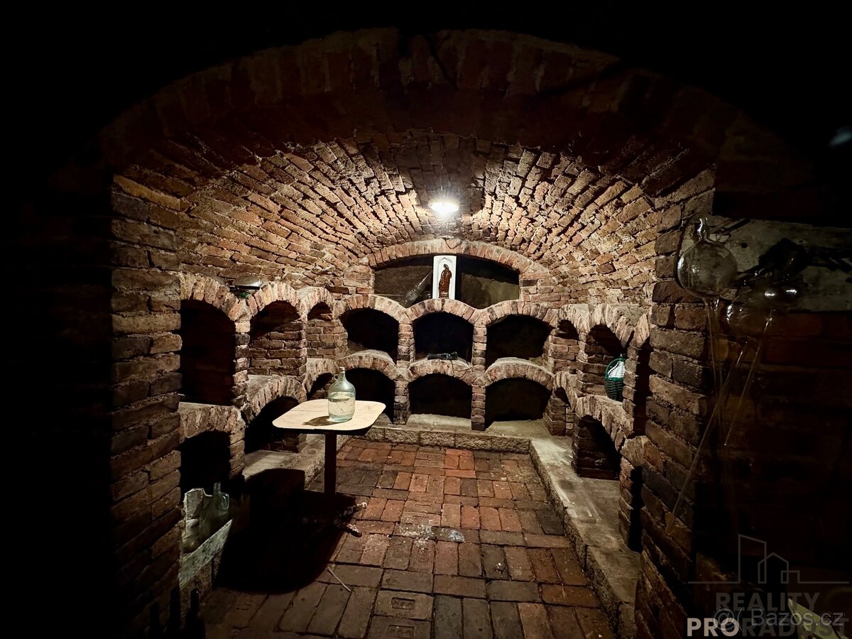 Prodej novostavby Zaječí s apartmány a vinným sklepem - 9