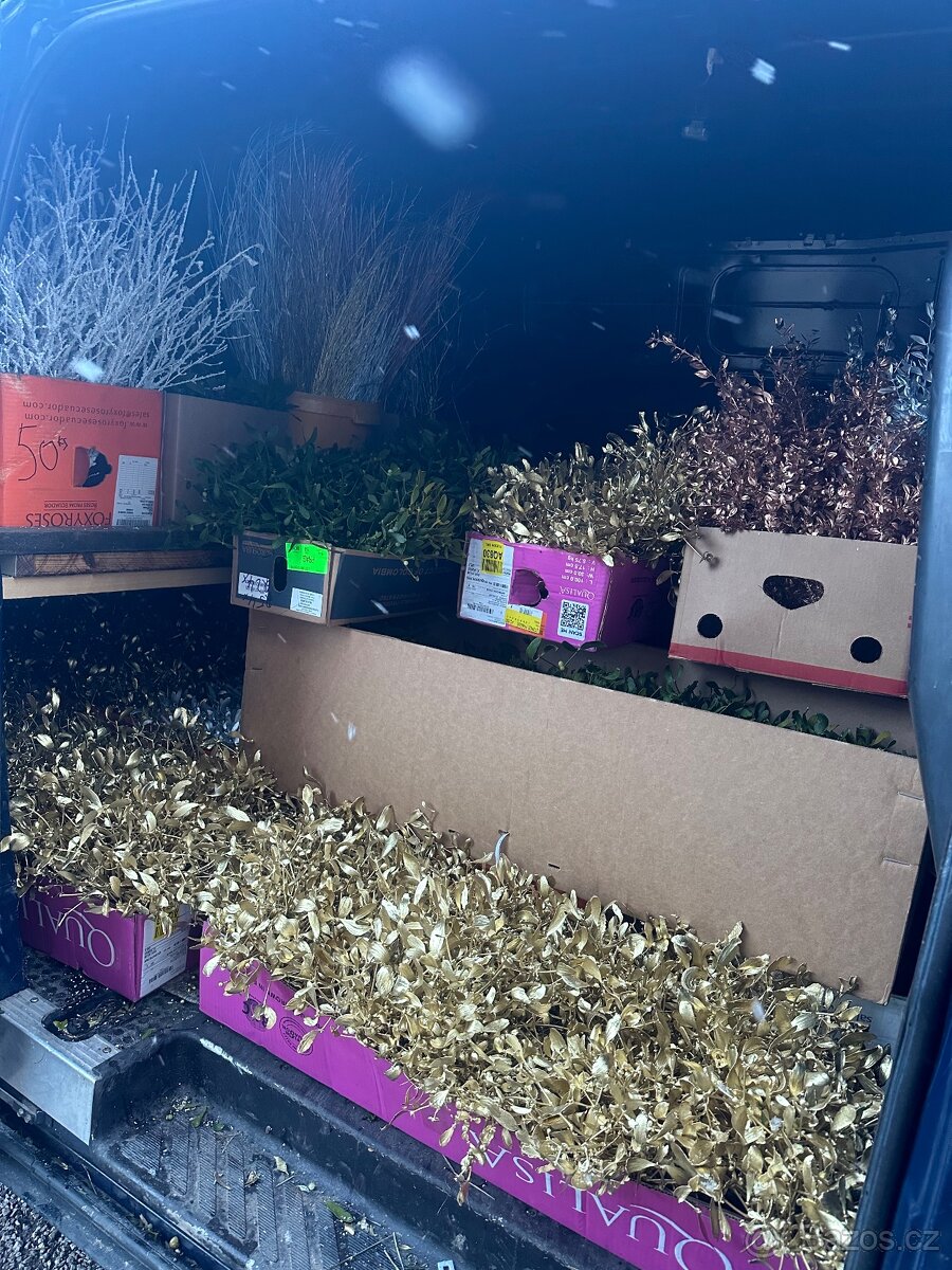 Prodáme vánoční jmelí 🌿🌿 - 9