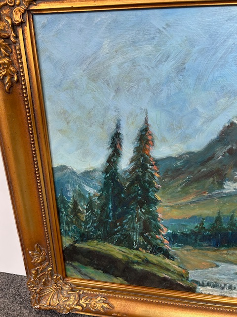 Obraz krajina na sololitu. - 9