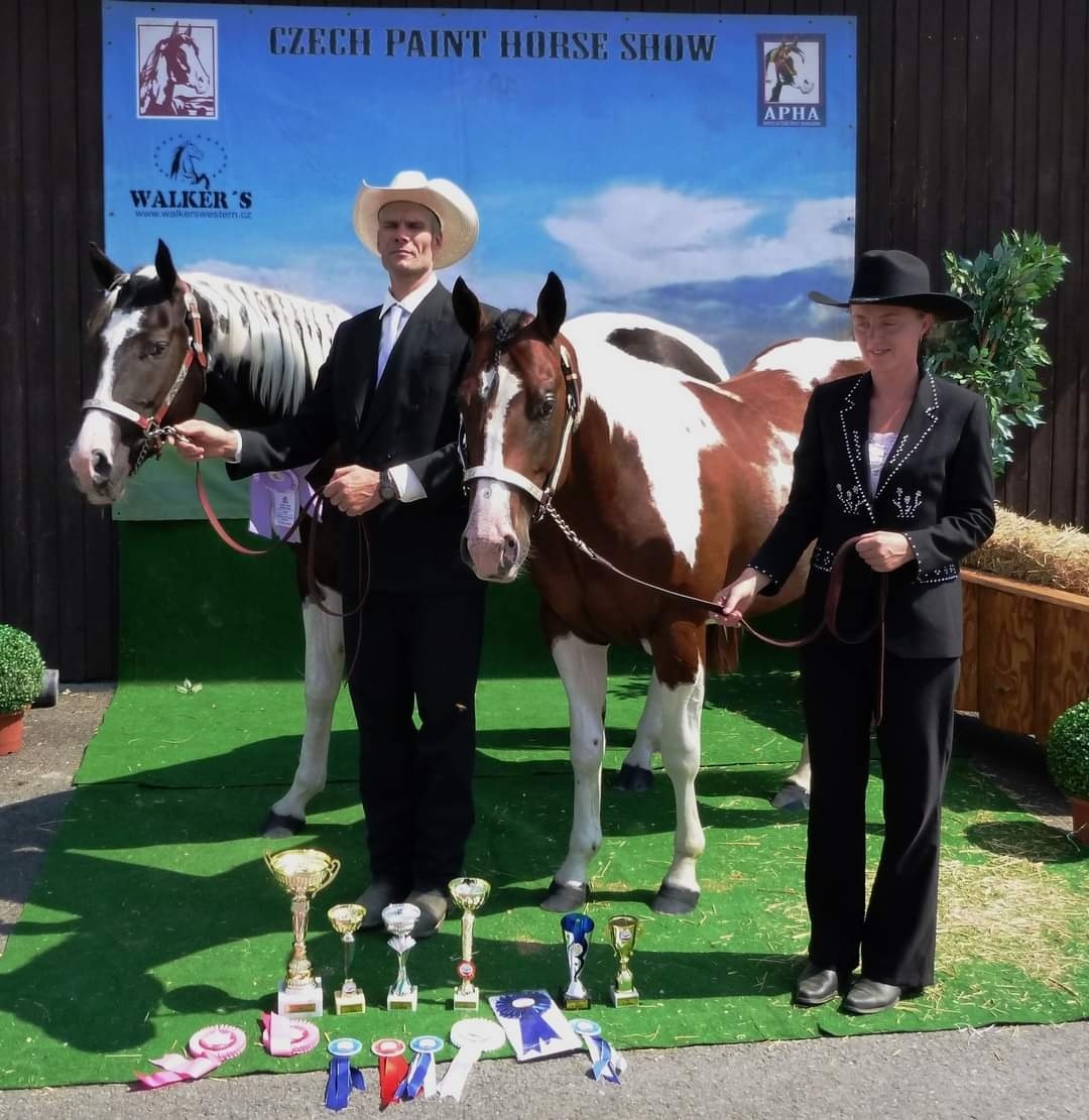 připouštění kvalitnimi plemeníky PAINT HORSE-HOMOZYGOT - 9