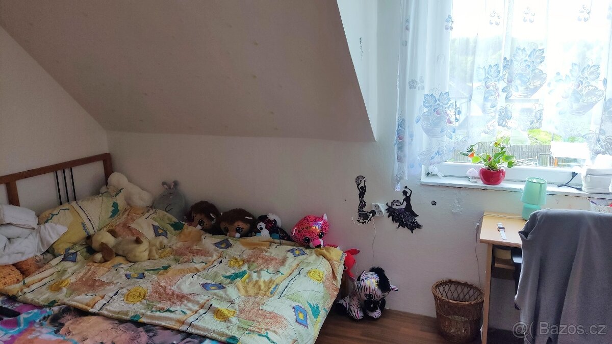 Dům k bydlení i podnikání až 3 byty - 9