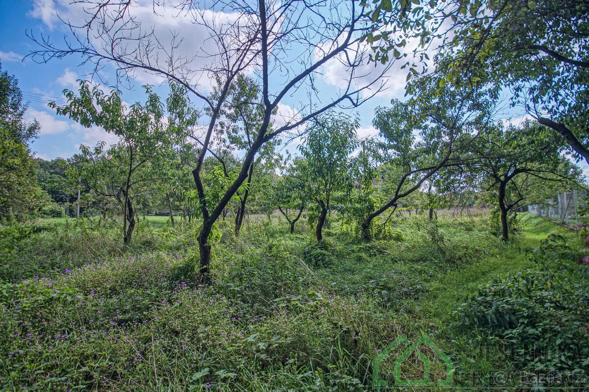 Prodej stavebního pozemku v obci Mikulovice - 9