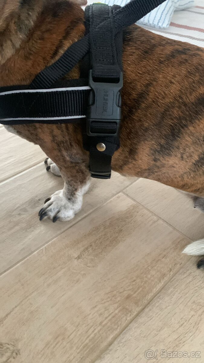 Postroj na psa Hunter - 9