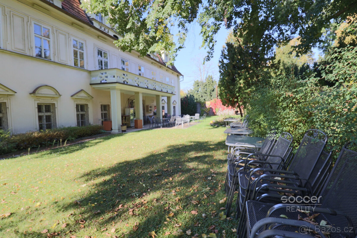 Pronájem reprezentativní kanceláře, 27m2, Praha 6 - Bubeneč, - 9