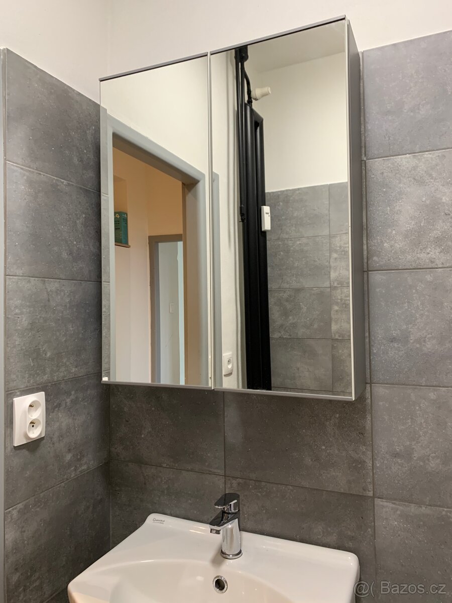 Byt 2+1 blízko centra i přírody - REZERVOVÁNO - 9