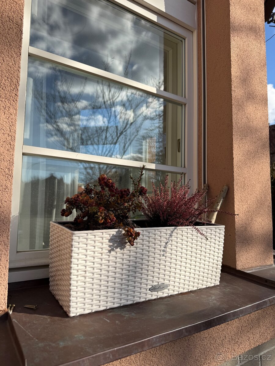 Truhlíky Lechuza Cottage - 9