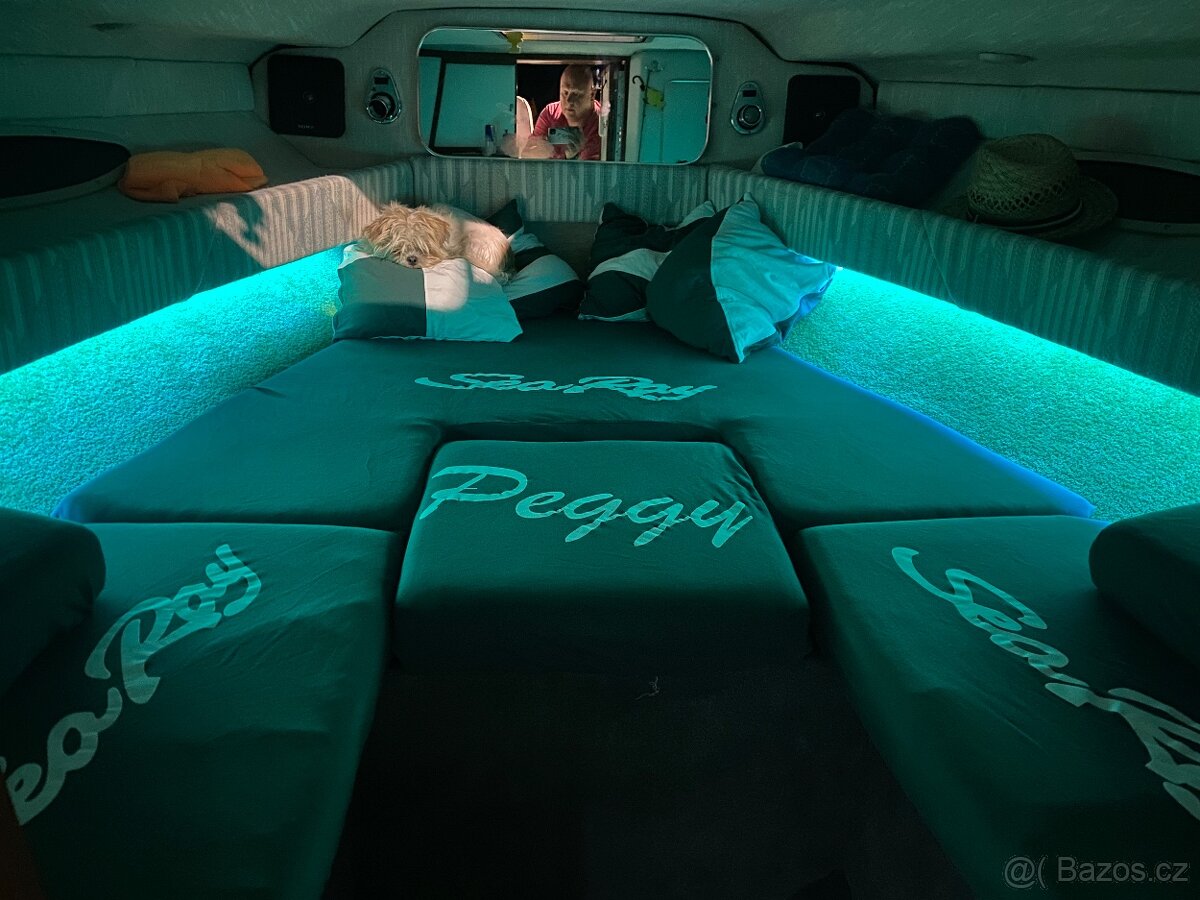 SeaRay 230 - 9
