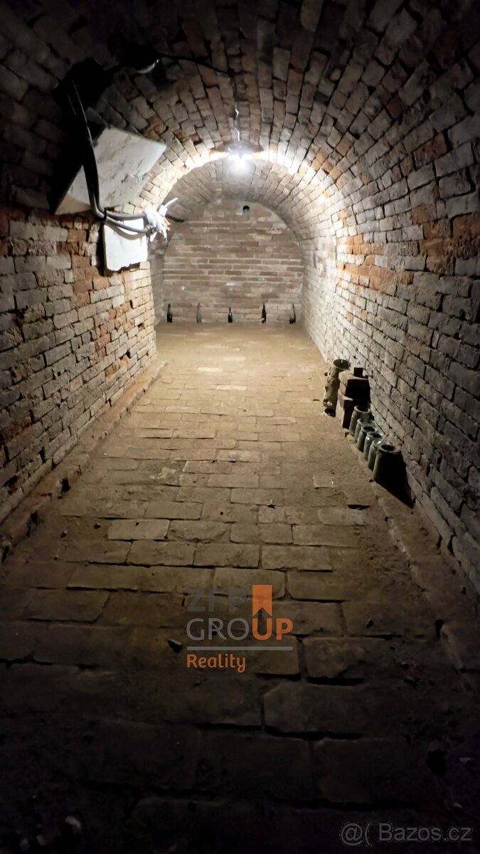 Prodej rodinného domu 150 m², pozemek 342 m², Velké Pavlovic - 9