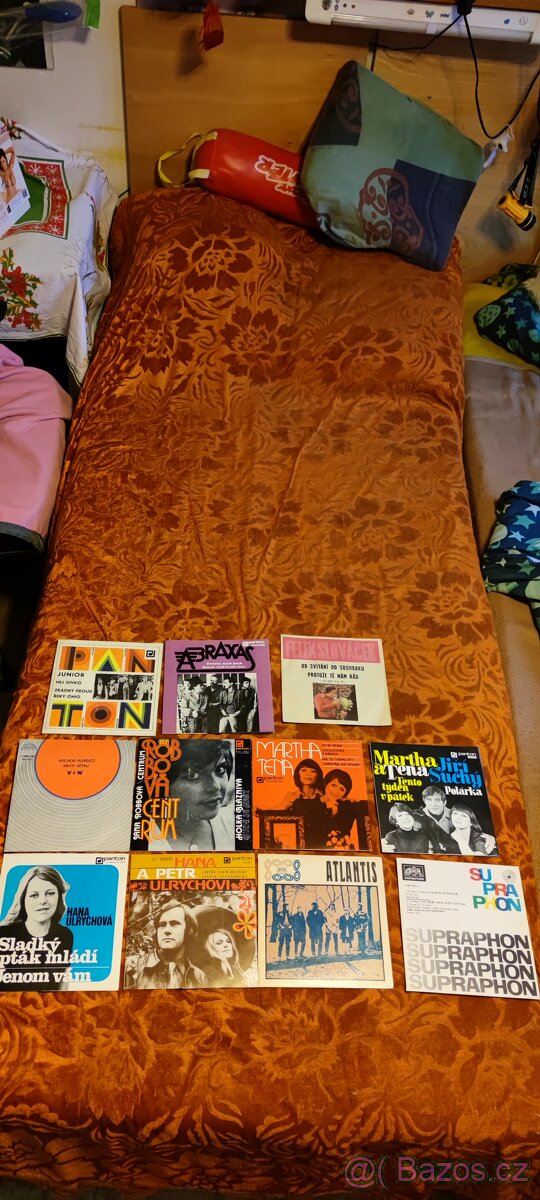 Prodám konvolut desek - 9