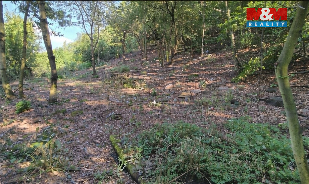 Prodej pozemku k bydlení, 1101 m², Bílina - 9