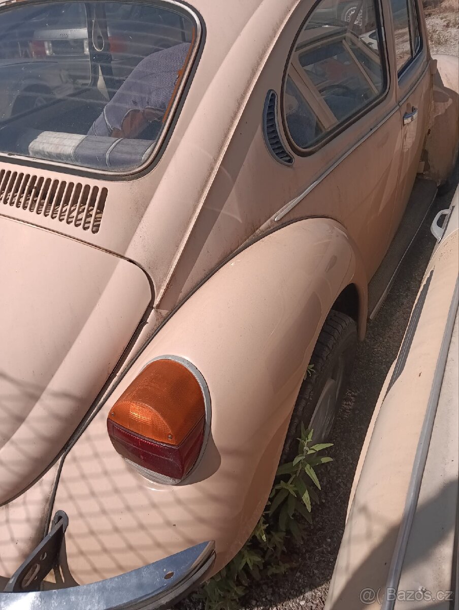 VW Brouk - 9