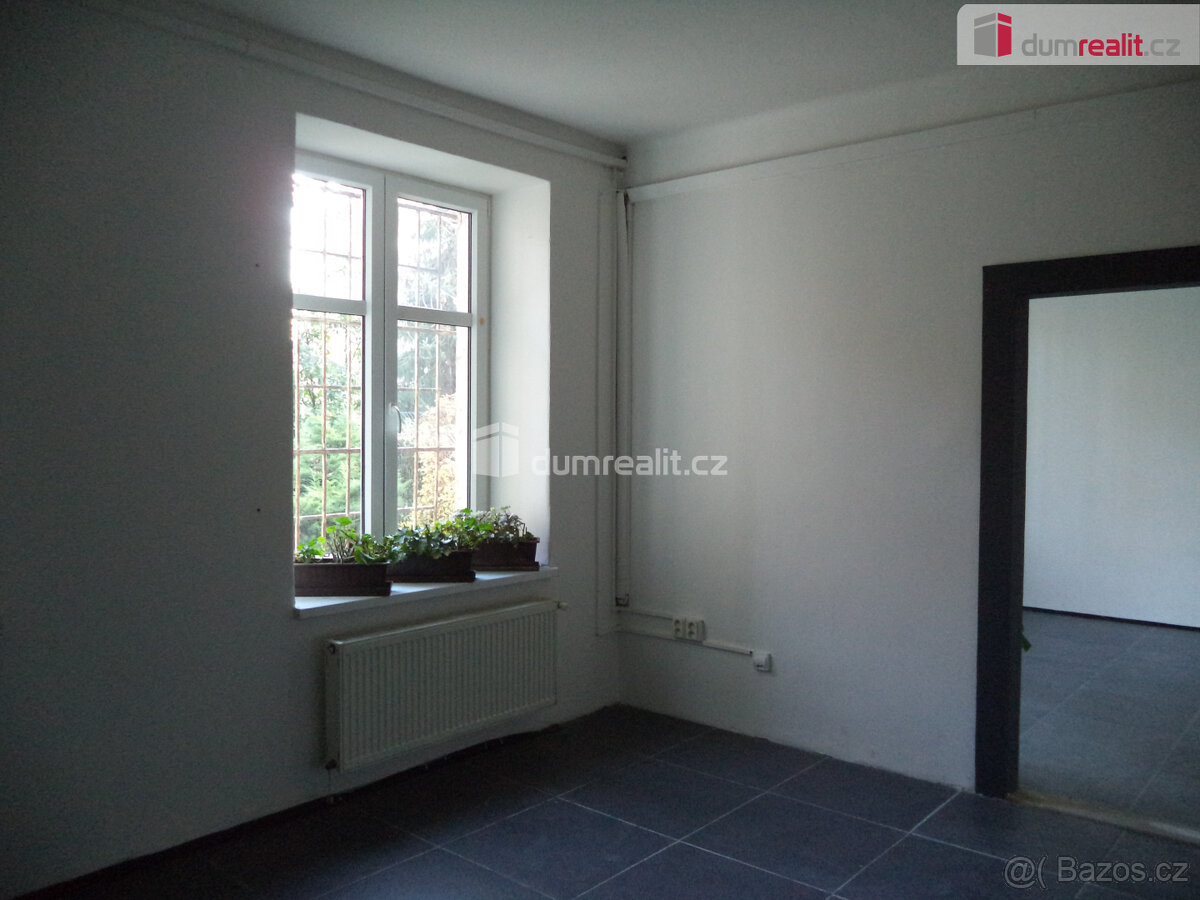 Pronájem komerčního prostoru v Ostravě- Vítkovicích - 9