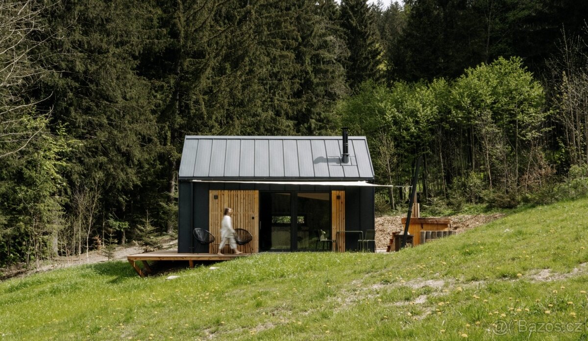 Pozemek na tinyhouse Borová Lada 8894m2 levně - 9