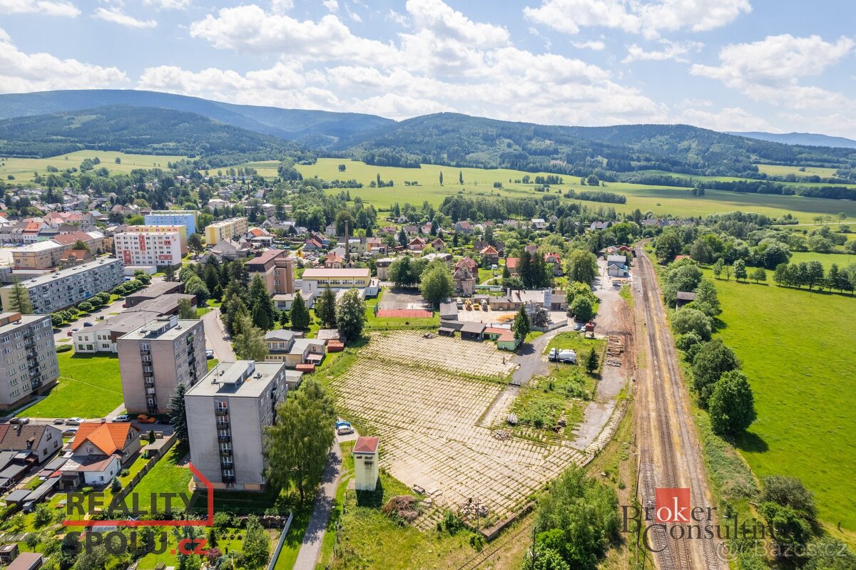 Prodej, pozemky/bydlení, 8920 m2, Smetanova 234, 46365 Nové - 9