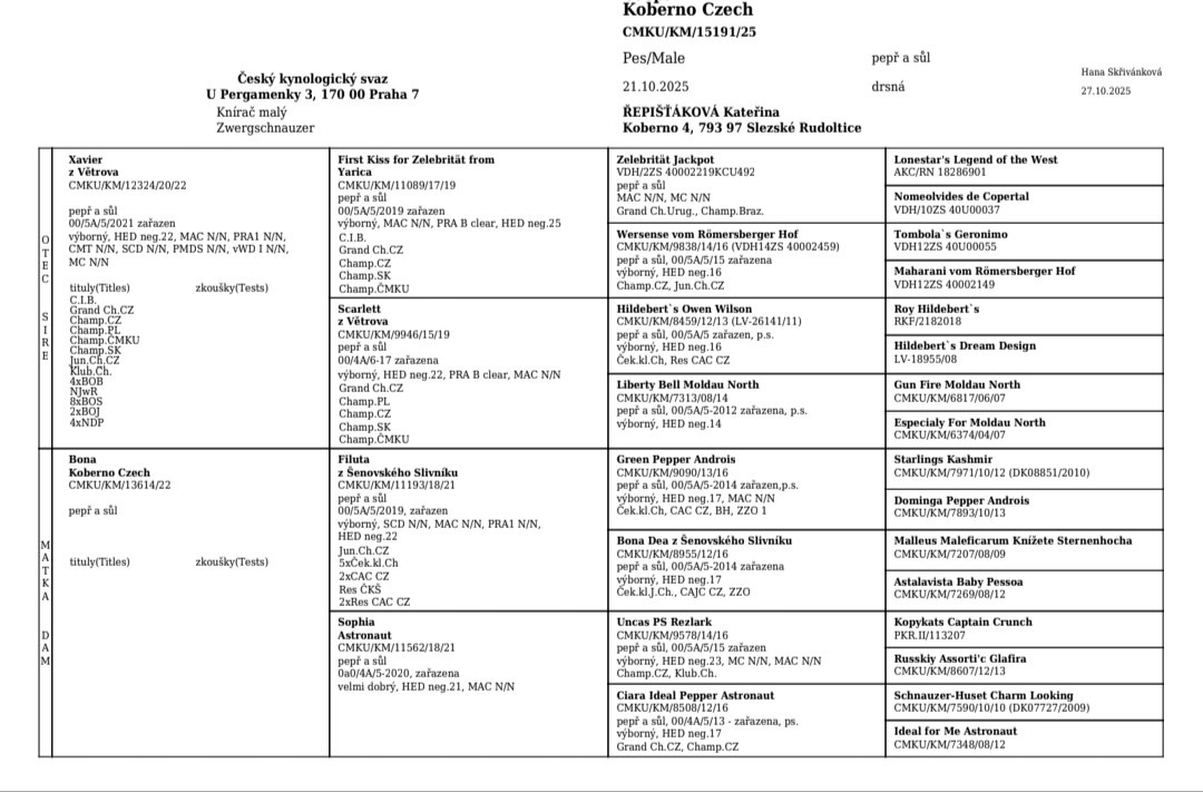 Knírač malý pepř a sůl s PP - 9