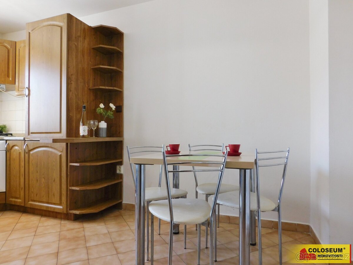 Hustopeče, byt OV 2+1, výhled do zeleně, krbová kamna, po re - 9