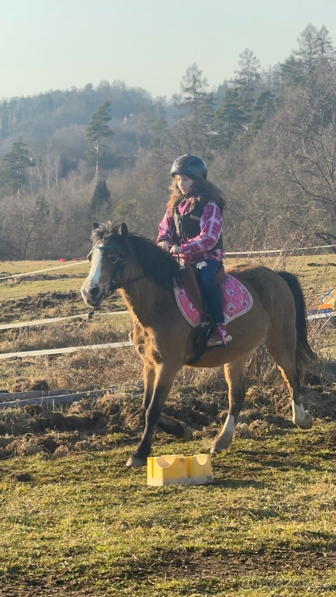První pony pro děti - 9
