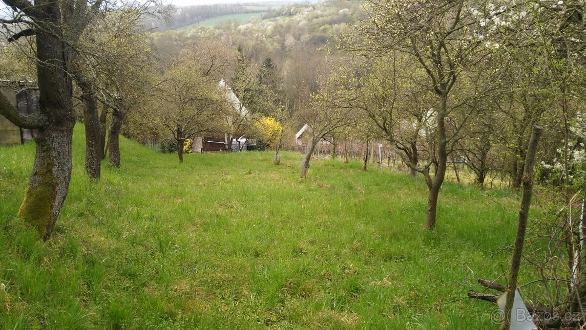 Prodám zahradu s chatkou - 9