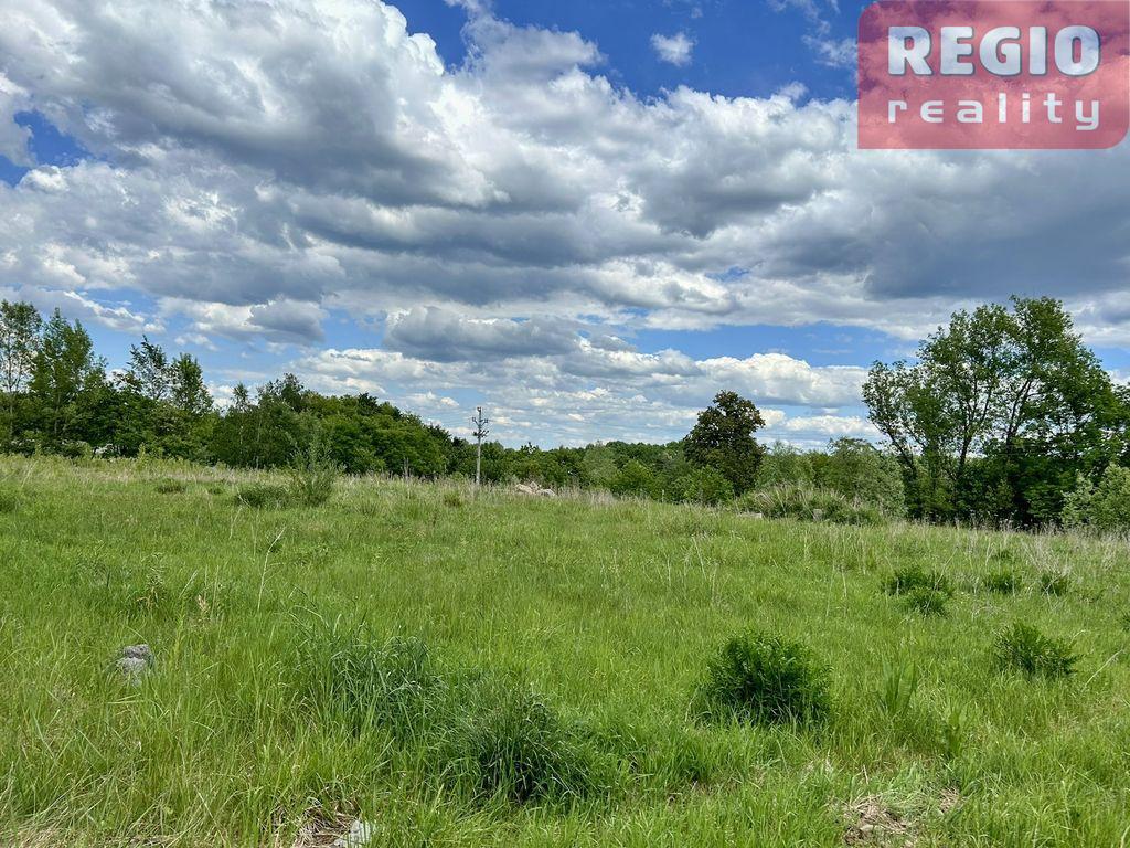 Pronájem pozemku ke komerčnímu využití, Petřvald u Karviné - 9