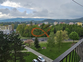 Pronajmu byt 1+1 v Rožnově pod Radhoštěm - 9