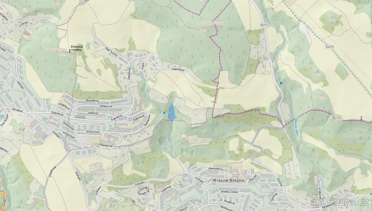 Prodáme lesní pozemek v k.ú. Dobětice - 9