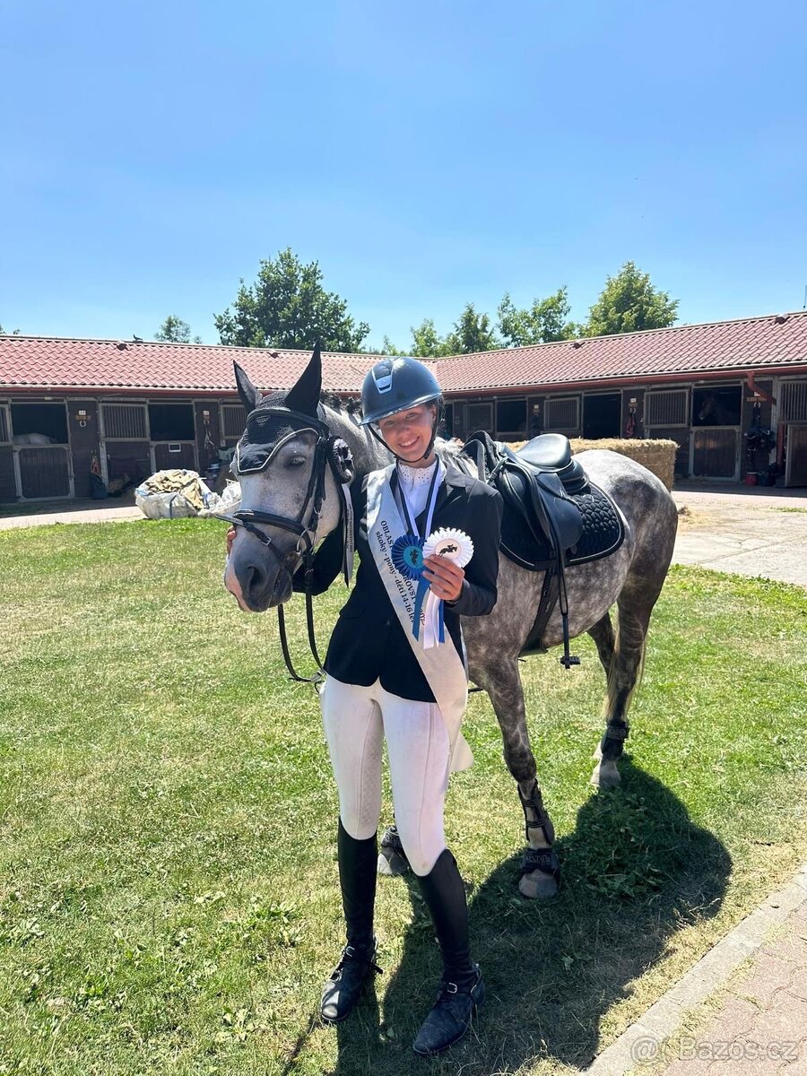 ⭐️ Krásný valášek na prodej ⭐️ - 9