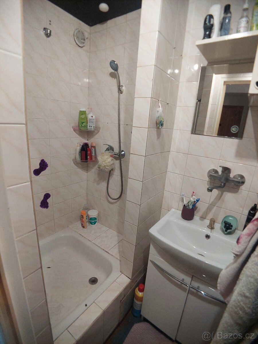 Prodej bytu 2+1 se zahradou ve Veselí nad Lužnicí - 9