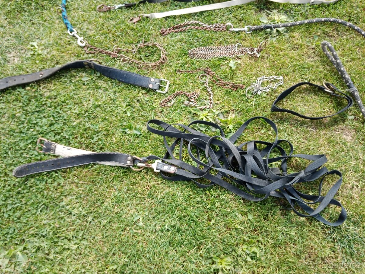 Vybavení pro pejskaře - 9