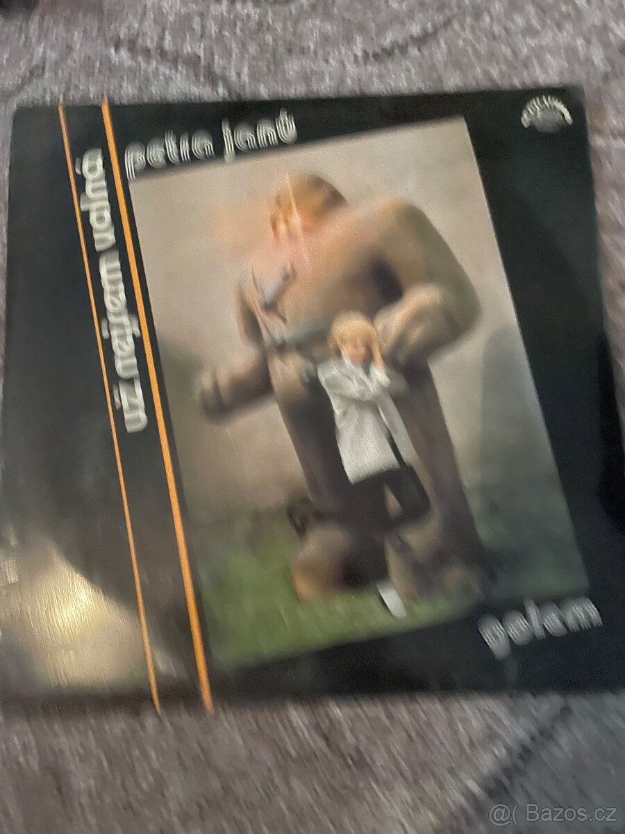 Gramofonové desky - 9