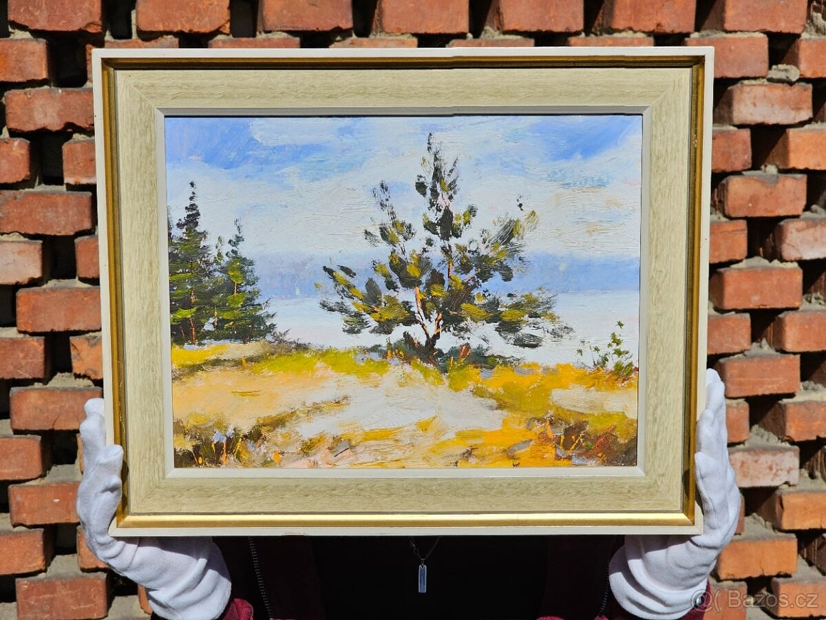 Různé Obrazy na prodej - 9