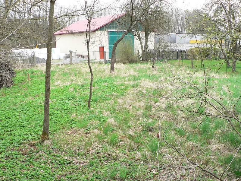 BLATNÁ - stavební pozemek - 9