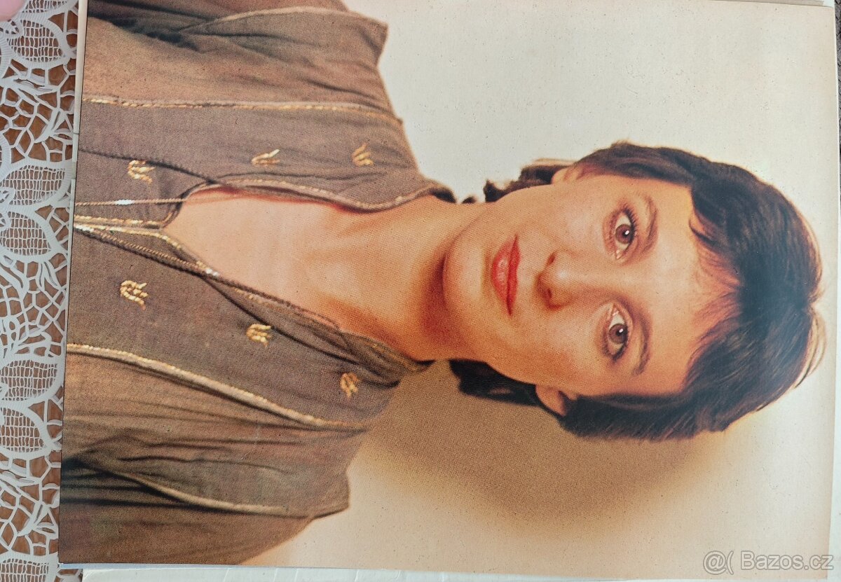 Karty zpěváků s popisem - 9